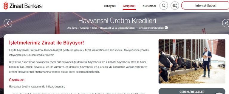 5 Yıl Geri Ödemesiz Hayvan Kredisi Başvurusu Nasıl Yapılır ?
