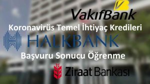 Bireysel Temel İhtiyaç Desteği Kredisi Ne Zaman Sonuçlanır?